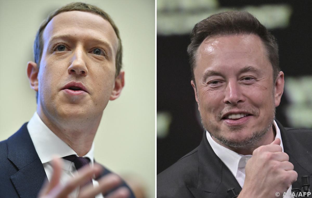 Musk challenges Zuckerberg to a cage fight