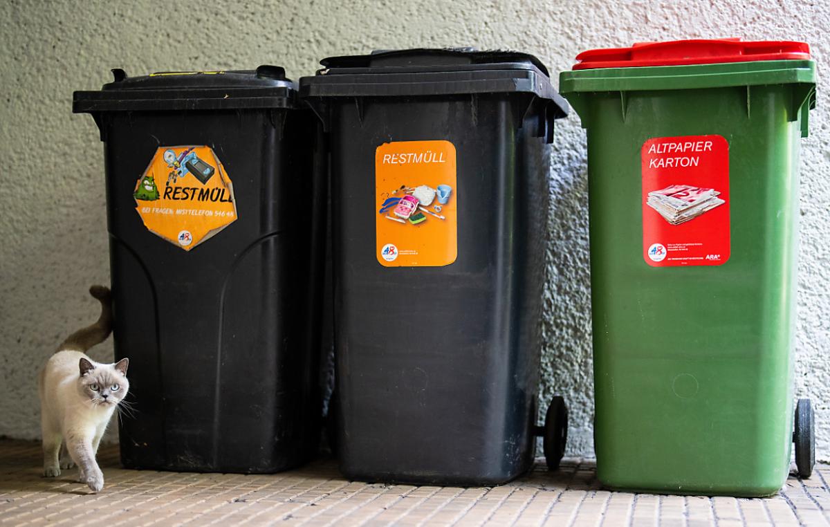 Waste disposal companies are anticipating large amounts of waste ahead of Christmas
