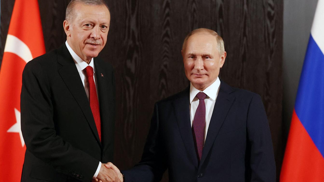 Recep Tayyip Erdogan und Wladimir Putin