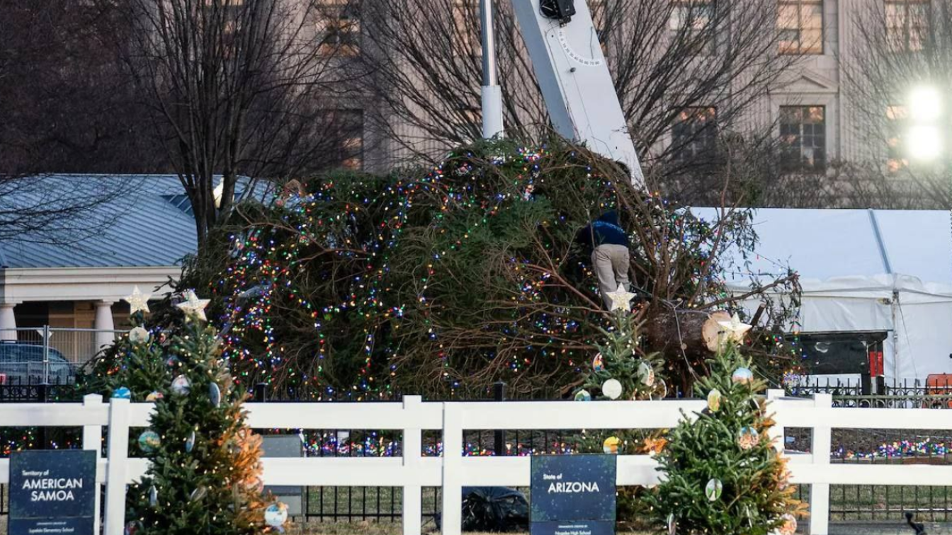 Weihnachtsbaum in Washington umgefallen
