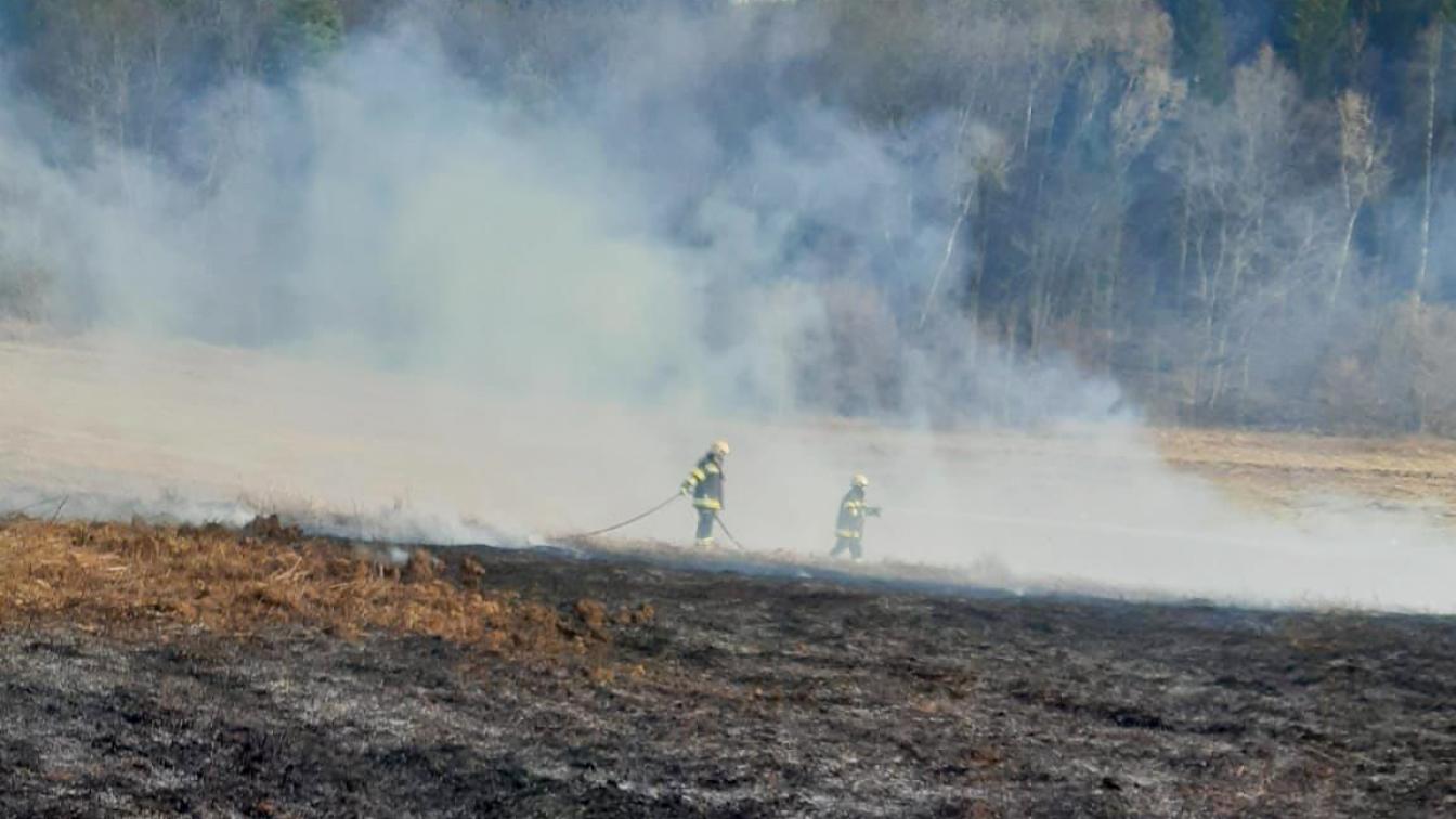 Ein Flächenbrand im Südburgenland