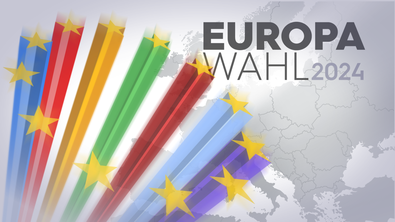 EU Wahl EU Fraktionen