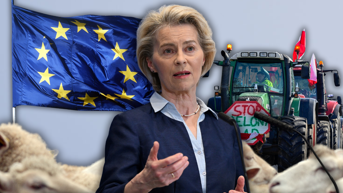 Green Deal Von der Leyen EU