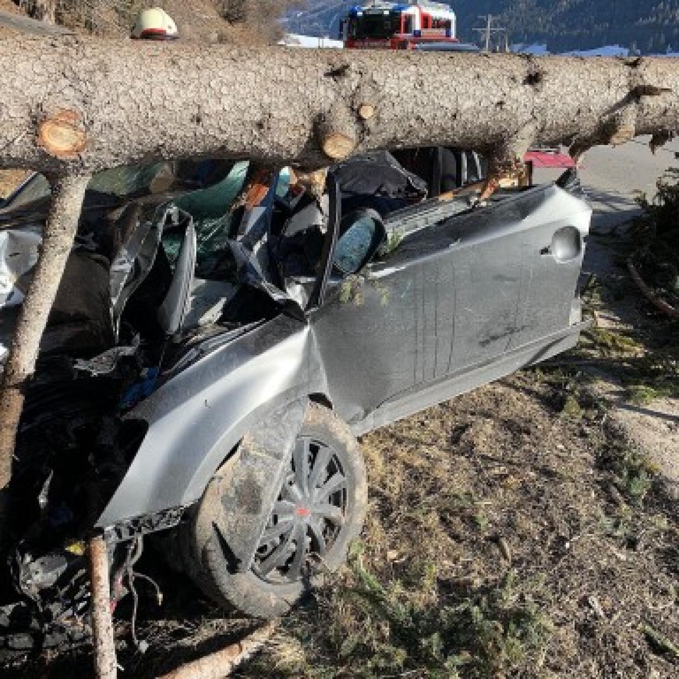 Ein Baum stürzte auf ein verunfalltes Auto.